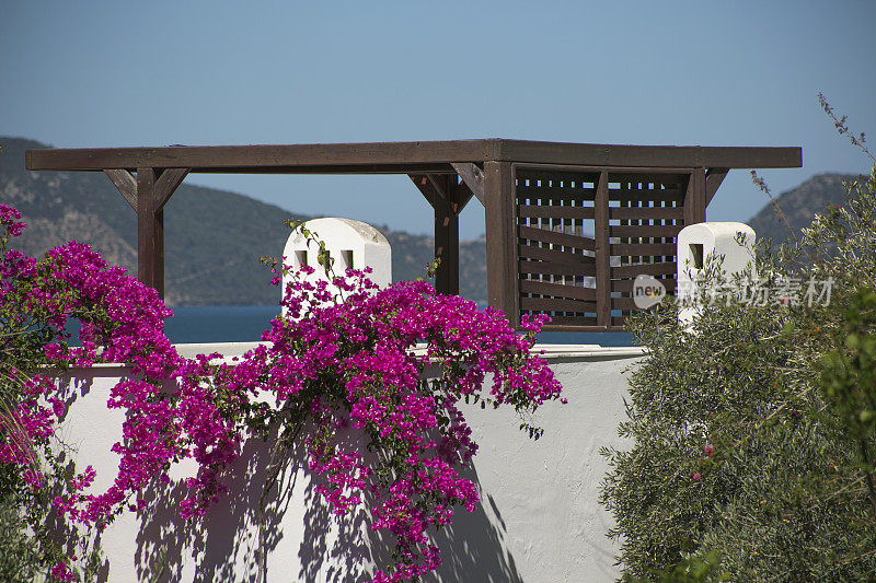 土耳其bodrum mugla夏日别墅屋顶上的鲜花